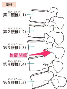 腰の椎間関節